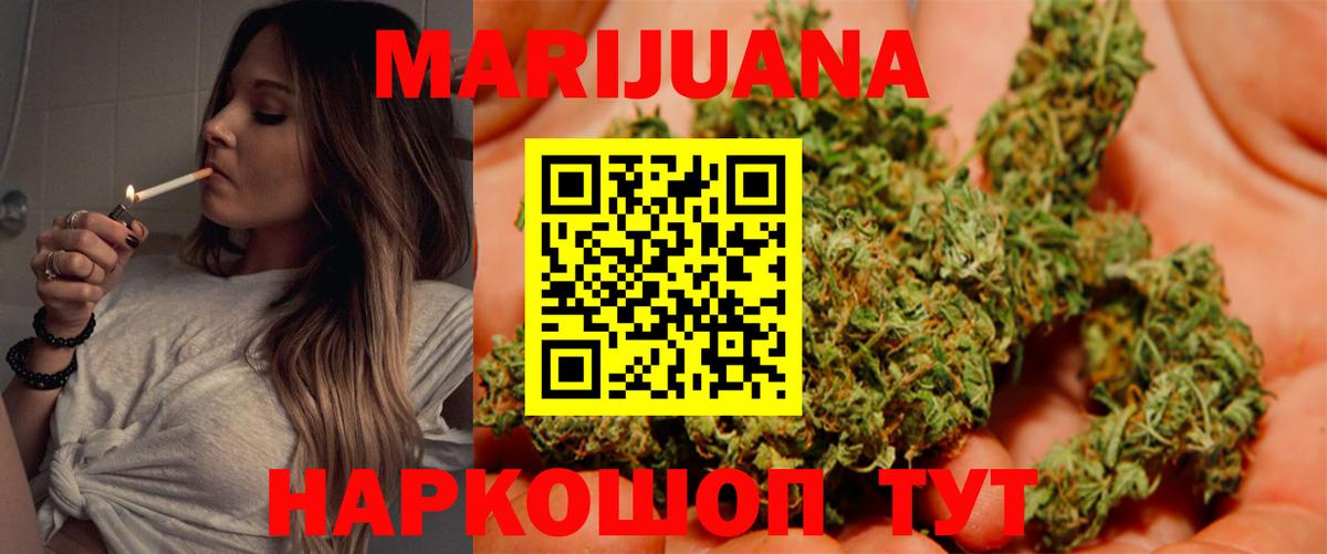 Конопля гибрид Сальск